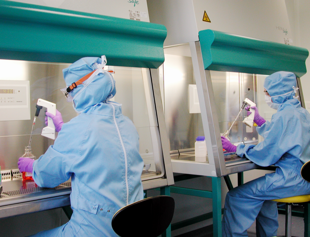 Clean cells | Clonal selection