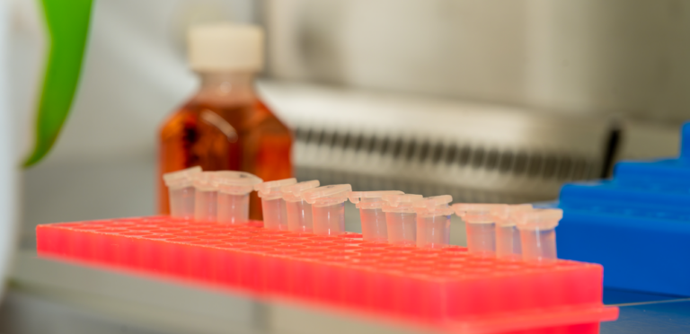 Clean cells | Veterinary Products