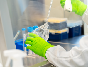 Clean cells | Raw Materials