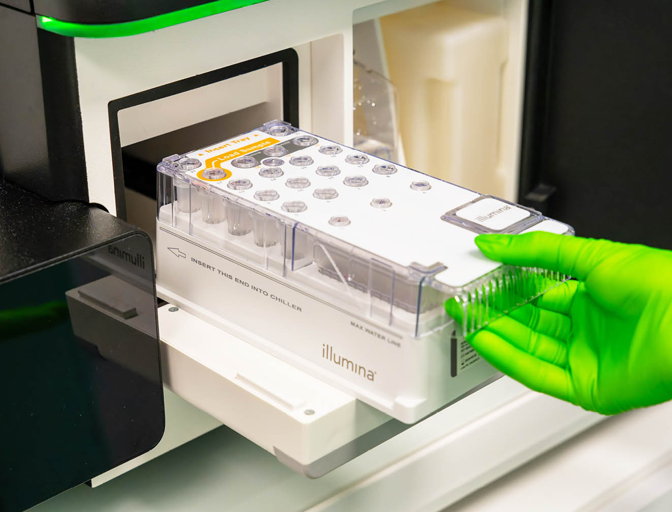 Illumina _ NGS _ Sequencing _ Identity testing _ Clean Cells