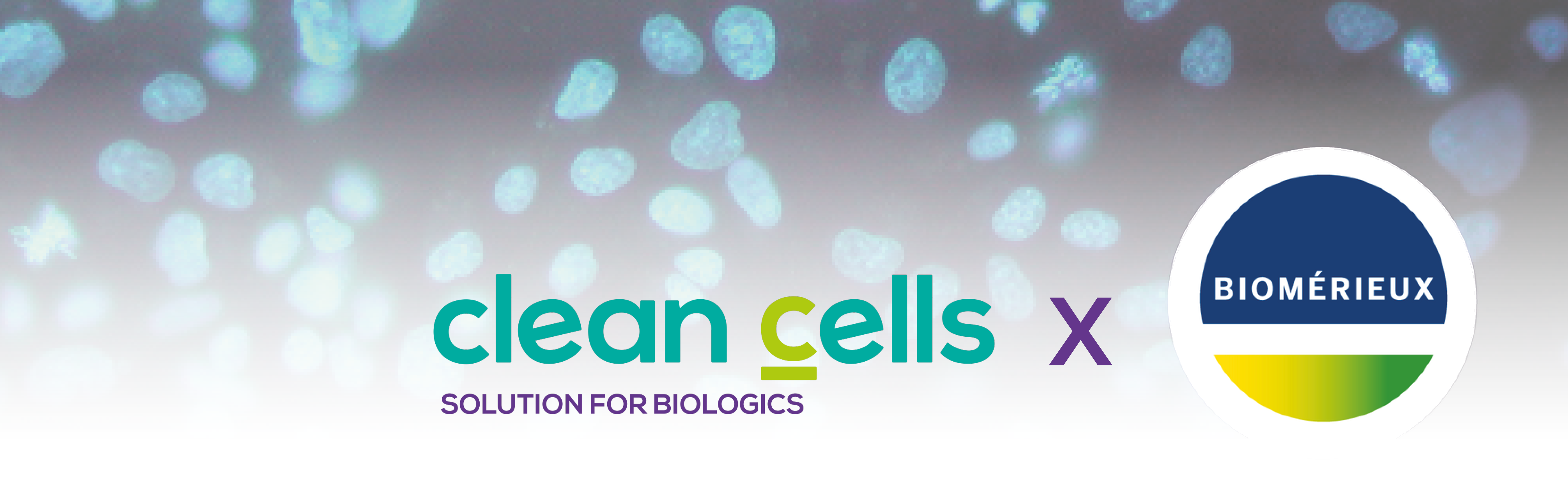 Clean Cells and bioMérieux have joined forced to fight back using BIOFIRE®