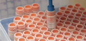 Clean Cells | A cGMP expert for the safety of your biological products