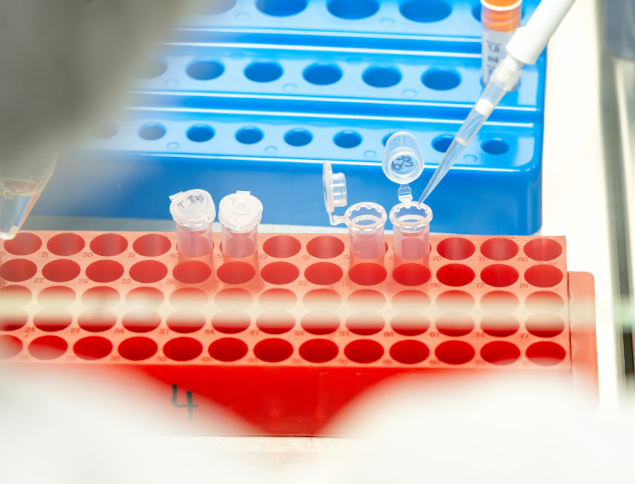 Viral Safety Testing - PCR - qPCR - TEM - NGS